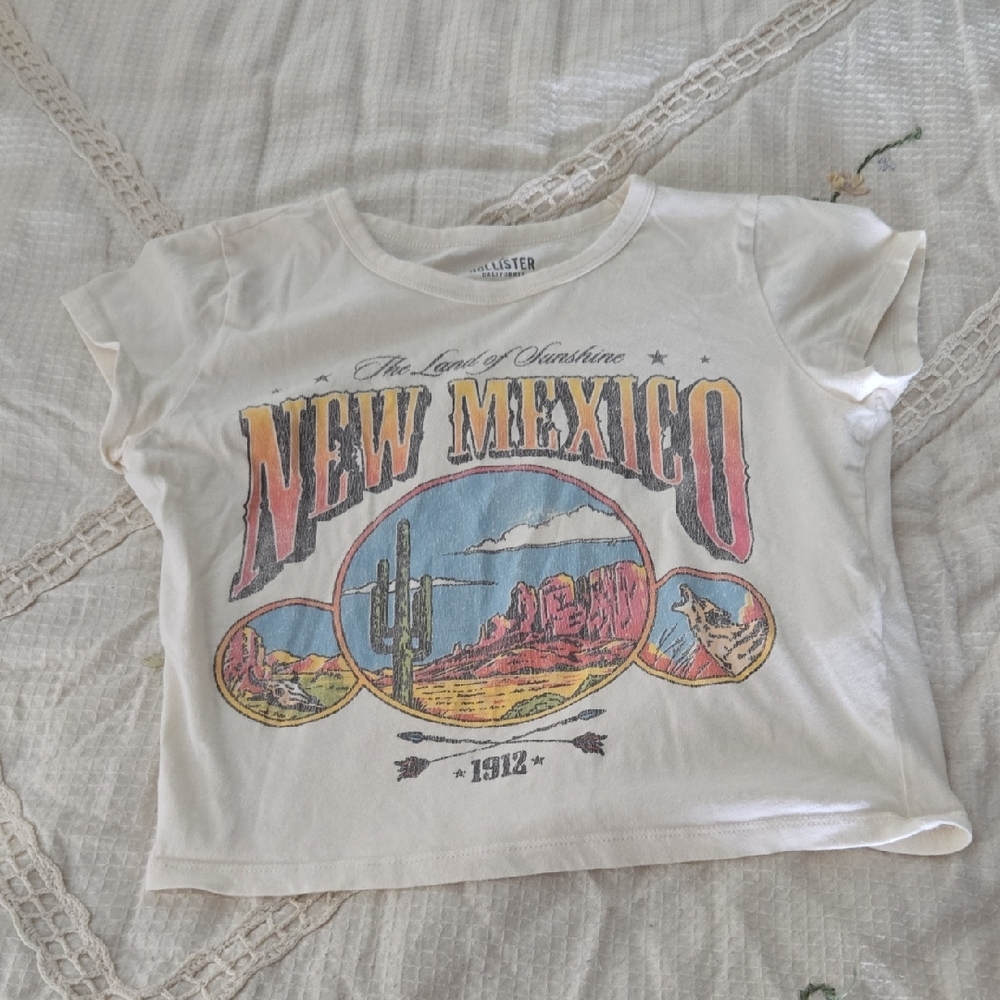 Hollister Cream and Red Desert Graphic Tee